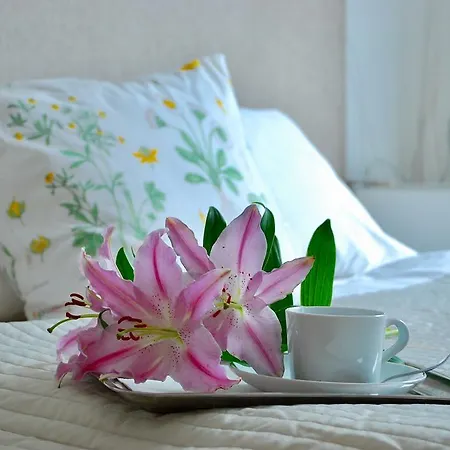 A Nice Place To براغ